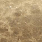 Waterproof Camera Backpack